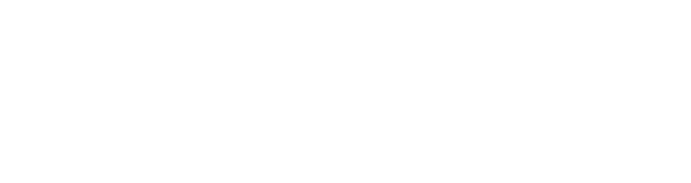 Anytime Fitness logo